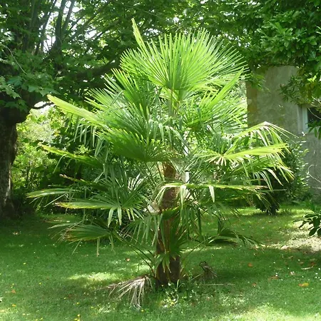Guest house Ferme De Honzac 3*