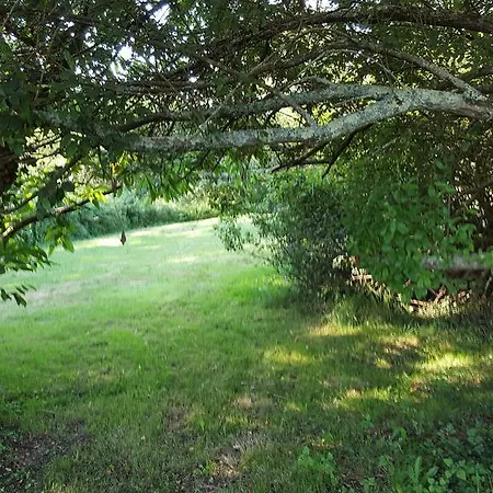 Ferme De Honzac